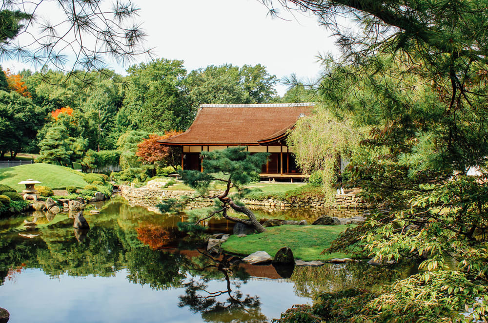 A garden with a pond reflecting the trees