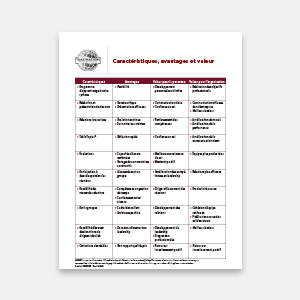 A white document containing a structured table with red headers and black text is centered against a plain light gray background.